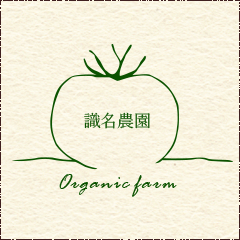 apple-touch-icon.png